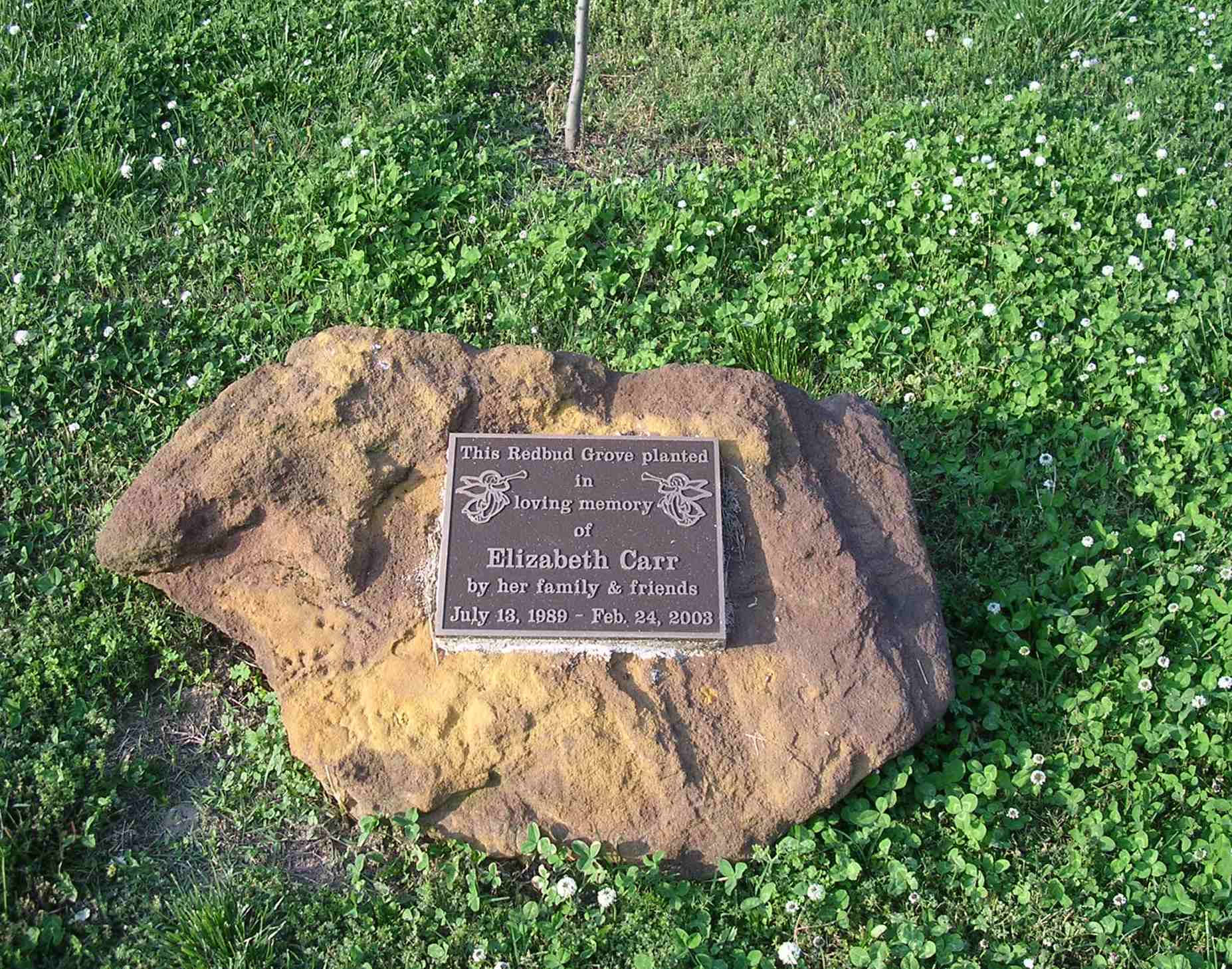 plaque_at_Elizabeth's_Grove